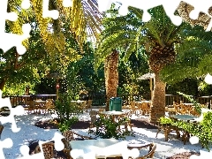 Teneryfa, Restauracja, Palmy