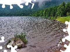 Jezioro, Las, Mgła, Brzeg