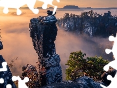 Drzewa, Formacje skalne, Niemcy, Mgła, Park Narodowy Saskie