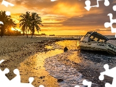 Zachód słońca, Morze, Palmy, Łódka, Floryda, Stany Zjednoczone, Smathers Beach, Przylądek Key West, Plaża