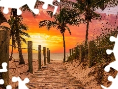 Palmy, Plaża, Morze, Floryda, Podest, Zachód słońca, Smathers Beach, Stany Zjednoczone, Key West, Ogrodzenie