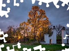 Drzewa, Pożółkłe, Brama, Dom, Jesień, Rozświetlone