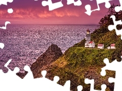 Stan Oregon, Stany Zjednoczone, Wybrzeże, Wzgórze, Latarnia morska Heceta Head, Drzewa, Morze, Niebo, Skały