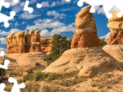 Skały, Rośliny, Stany Zjednoczone, Krzewy, Utah, Devils Ga