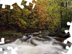 River Mumlava, Drzewa, Skały, Harrachov, Kamienie, Las, Jes