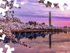 Okwiecone, Zbiornik, Wiosna, Drzewa, Pomnik Waszyngtona, Stany Zjednoczone, Waszyngton, Tidal Basin, Jezioro, Park National Mall, Obelisk