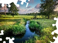 Trawa, Drzewa, Lato, Woda, Chmury, Pole, Łąka, Strumień