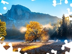 Park Narodowy Yosemite, Góra Half Dome, Mgła, Jesień, Drz