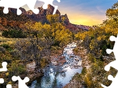 Rzeka, Virgin River, Stany Zjednoczone, Drzewa, Stan Utah, G