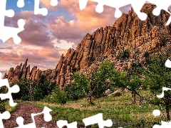 Droga, Drzewa, Stany Zjednoczone, Szlak Peavine Trail, Arizo
