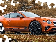 Bentley Continental GT Mulliner