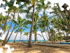 Morze, Hawaje, Łódka, Palmy, Stany Zjednoczone, Plaża, Chmury
