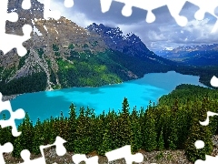 Góry, Jezioro, Drzewa, Prowincja Alberta, Lasy, Park Narodo