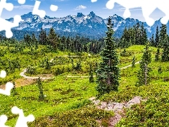 Tatoosh Range, Łąka, Stany Zjednoczone, Droga, Stan Waszyn