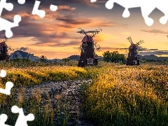 Drzewa, Łąka, Wschód słońca, Chmury, Domy, Wiatraki