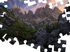 Kwiaty, Różanecznik, Dolomity, Skały, Góry