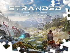 Ludzie, Stranded Alien Dawn, Góry, Wrak, Gra, Ognisko, Plakat