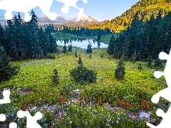 Stratowulkan, Stany Zjednoczone, Góry, Mount Rainier, Tipso