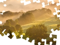 Mgła, Poranek, Las, Drzewa, Wzgórze