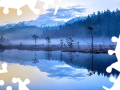 Jezioro, Las, Poranek, Góry, Mgła, Drzewa