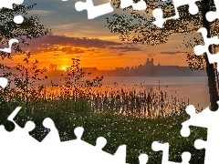Jezioro, Mgła, Drzewa, Wschód słońca