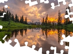 Odbicie, Góry, Tipsoo Lake, Stan Waszyngton, Drzewa, Park N
