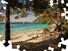 Morze, Drzewa, Żaglówka, Plaża