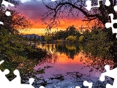 Goldwater Lake, Drzewa, Stany Zjednoczone, Gałęzie, Stan A