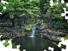 Rośliny, Rzeka, Park Narodowy Gór Błękitnych, Australia, Drzewa, Skały