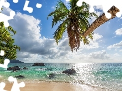 Palma, Skały, Morze, Plaża, Seszele