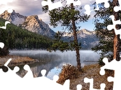Jezioro, Stanley Lake, Stany Zjednoczone, Drzewa, Idaho, Saw