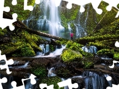 Wodospad, Proxy Falls, Człowiek, Omszałe, Konary, Stan Ore