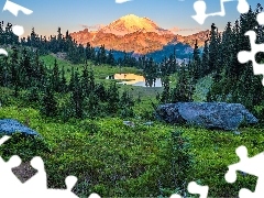 Góry, Mount Rainier, Kamienie, Jezioro, Drzewa, Park Narodo