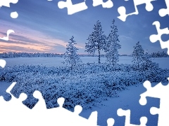 Zima, Ośnieżone, Jezioro, Drzewa