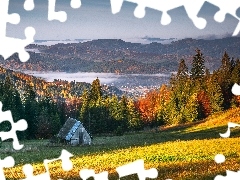 Drzewa, Las, Polska, Polana, GĂłry, Kolorowe, JesieĹ, Szopa
