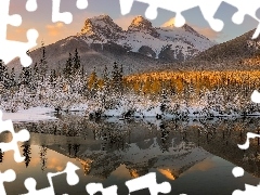 Rzeka, GĂłra, Krzewy, Canmore, Odbicie, Las, Alberta, Poli