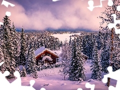 Drzewa, Ringkollen, OĹnieĹźony, Zima, Norwegia, Dom, MgĹa