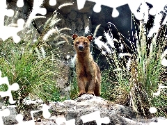 Na, Skałkach, Fossa
