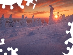 Promienie słońca, ZachĂłd słońca, Drzewa, OĹÂ