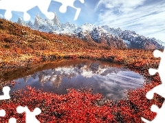 Patagonia, Argentyna, KaĹuĹźa, Odbicie, RoĹlinnoĹÄ, JesieĹ, Szczyt Fitz Roy, Kolorowa, GĂłry Andy