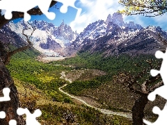GĂłry, Argentyna, Fitz Roy, Drzewa, OĹnieĹźone, Patag