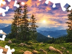 GĂłry, Dolina, WzgĂłrze, ZachĂłd sĹoĹca, Drzewa