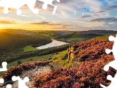 SkaĹy, Park Narodowy Peak District, Bamford Edge, Wrzosow