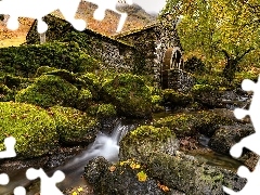 Drzewa, MĹyn wodny, Rzeka, OmszaĹe, Kumbria, Anglia, J