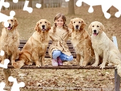 Ĺawka, Psy, JesieĹ, Golden retrievery, Dziewczynka, Park, LiĹcie