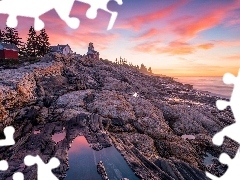 Drzewa, SkaĹy, Pemaquid Point Lighthouse, Stan Maine, Wie