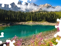 Las, Drzewa, WĹochy, RoĹlinnoĹÄ, Tyrol, Lago di Carezza, Jezioro Karersee, Kwiaty