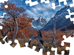 El Chalten, GĂłry, Konary, Mount Fitz Roy, Drzewa, Patagon
