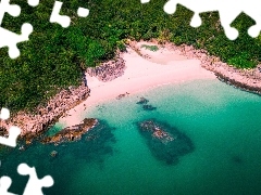 SkaĹy, Drzewa, WybrzeĹźe, Brzeg, Z lotu ptaka, PlaĹźa