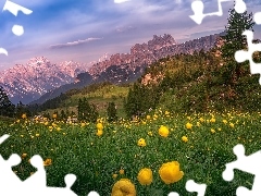 Drzewa, Dolomity, ĹťĂłĹte, Dolina, GĂłry, ĹÄk
